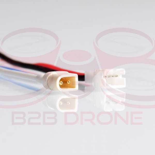 BetaFPV - BT2.0 1S Whoop Cable Pigtail